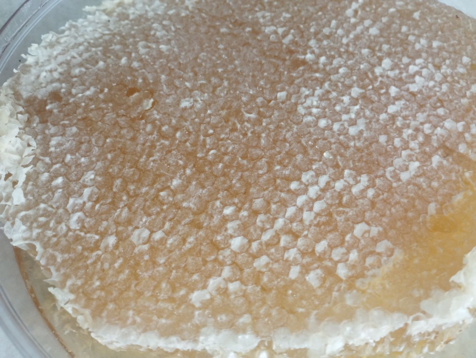 عسل باموم طبیعی